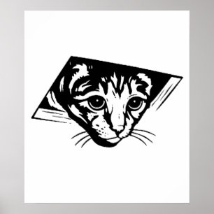 Póster Gato en techo