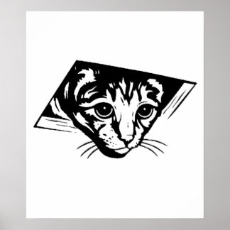 Póster Gato en techo