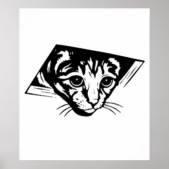 Póster Gato en techo (Frente)