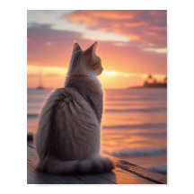 Gato en un muelle con una puesta de sol y fondo oc