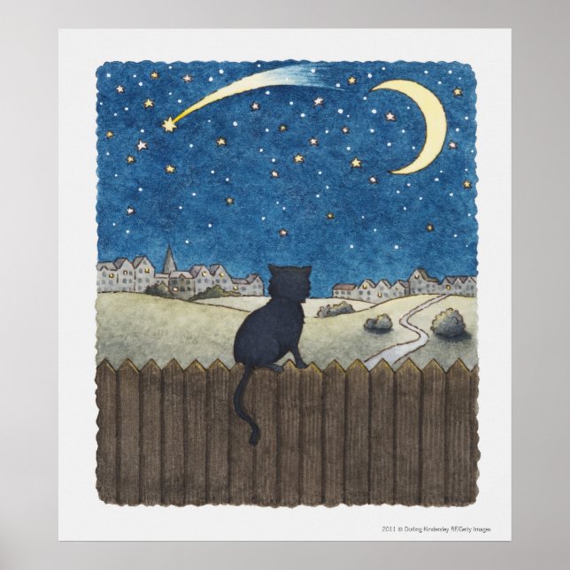 Póster Gato en una cerca mirando el cielo nocturno sobre  (Frente)