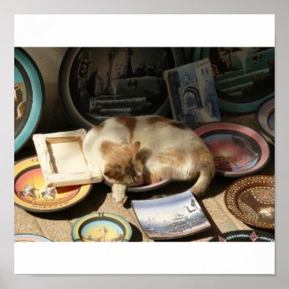 Póster Gato en una h....Bowl