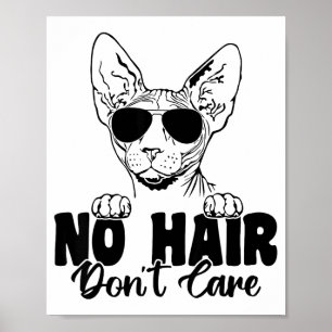 Póster Gato Esfinge Divertido Sin Pelo No Le Importa Calv