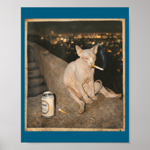 Póster Gato esfinge fumando meme gato divertido fumando c