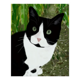 Póster Gato esmoquin en el maizal