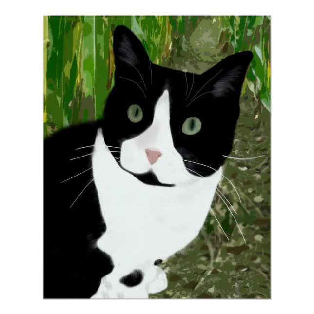 Póster Gato esmoquin en el maizal (Anverso)