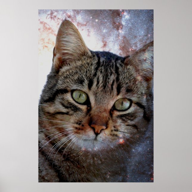 Póster Gato espacial (Frente)