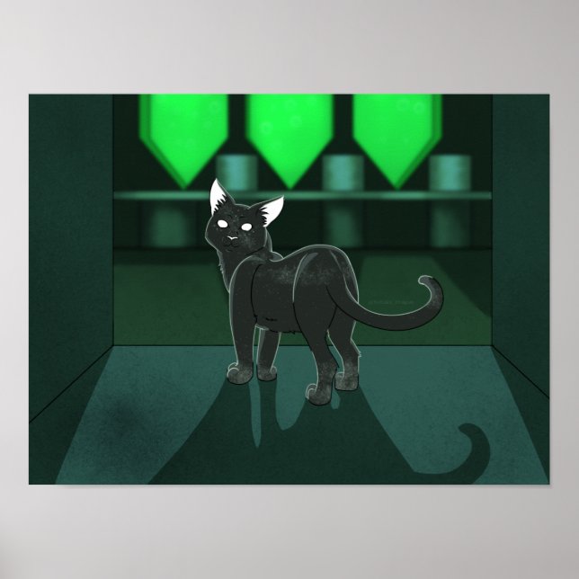 Póster Gato estrellado (Frente)