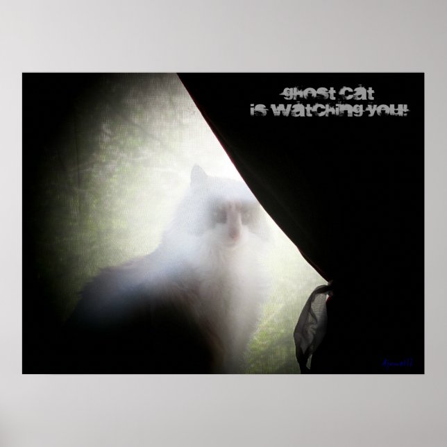 Póster Gato fantasma te está vigilando (Frente)