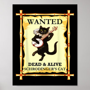 Póster Gato físico de Schrodinger Físico cuántico