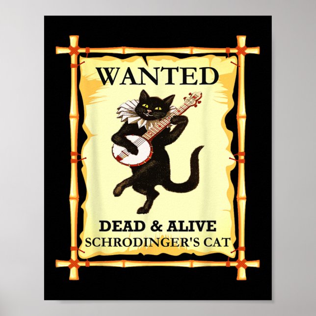 Póster Gato físico de Schrodinger Físico cuántico (Frente)