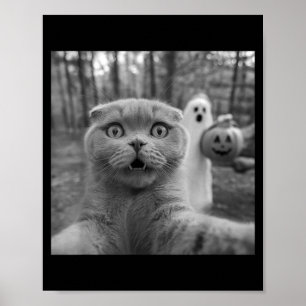 Póster gato fold escocés selfie fantasma truco o tratante