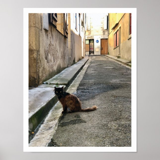Póster Gato francés (Frente)