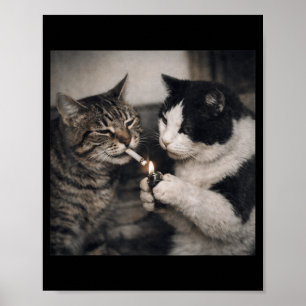 Póster Gato fumando Cigarrillo Gatito Meme Divertido Estú