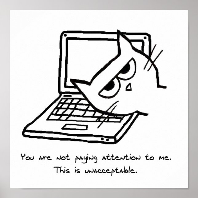 Póster Gato furioso exige atención - Divertido Poster de  (Frente)