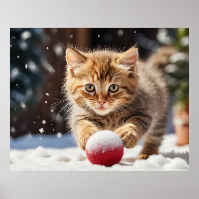 Póster *~* Gato gatito jugando con bola de nieve 5:4  Gat (Frente)