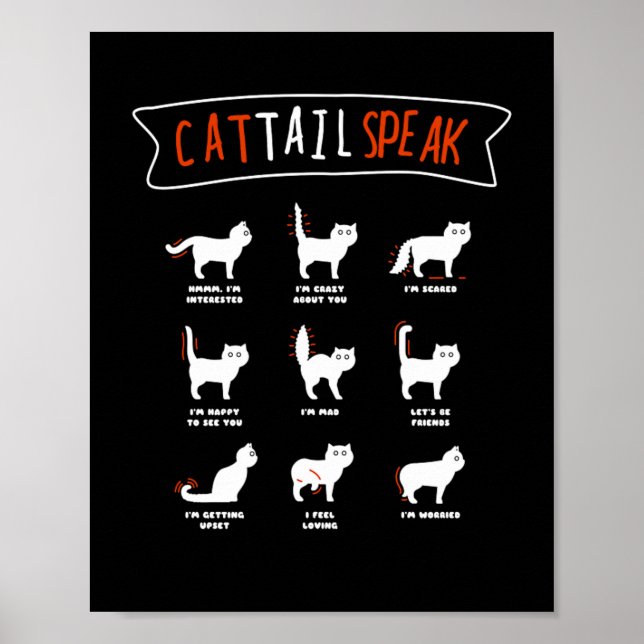 Póster Gato Gato Gato Gato Gatito Gatito Mow Animal (Frente)