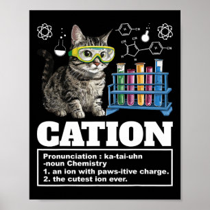 Póster Gato Gato Gato Gato Gato Gato De Cation Chemistry