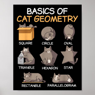 Póster Gato Geometría Matemática Graciosos Regalos De Gat