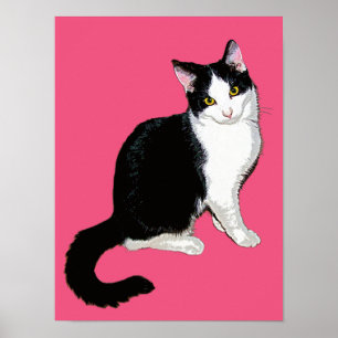 Póster Gato gitano, negro y blanco en rosa caliente