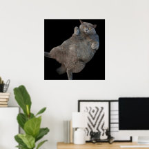 Gato gordo al descubierto en el cielo británico