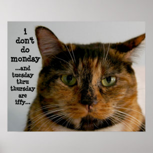 Póster Gato gordo con actitud, "no hago lunes"