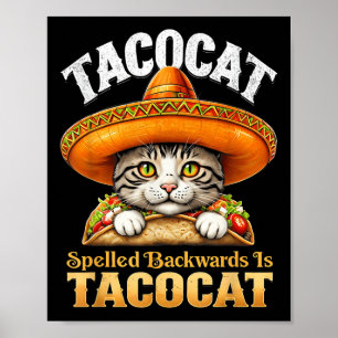 Póster Gato gracioso Cinco De Mayo Tacocat espelado hacia