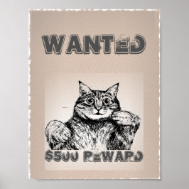 Póster Gato gracioso deseado