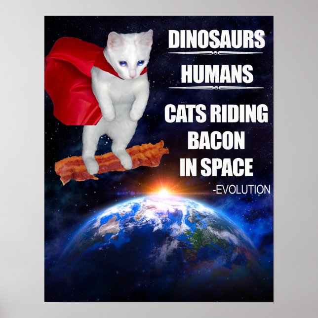 Póster Gato gracioso: Evolución (Frente)
