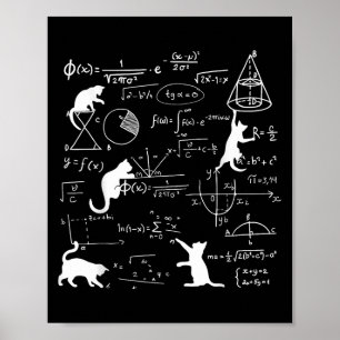 Póster Gato Gracioso Jugando Con Fórmulas De Matemáticas
