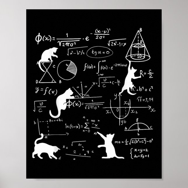 Póster Gato Gracioso Jugando Con Fórmulas De Matemáticas  (Frente)