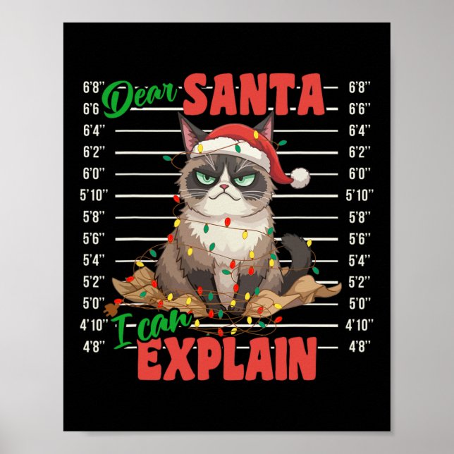 Póster Gato gracioso Mugshot Querido Papá Noel Puedo Expl (Frente)