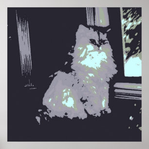 Póster Gato Gray Kitty de pelo largo