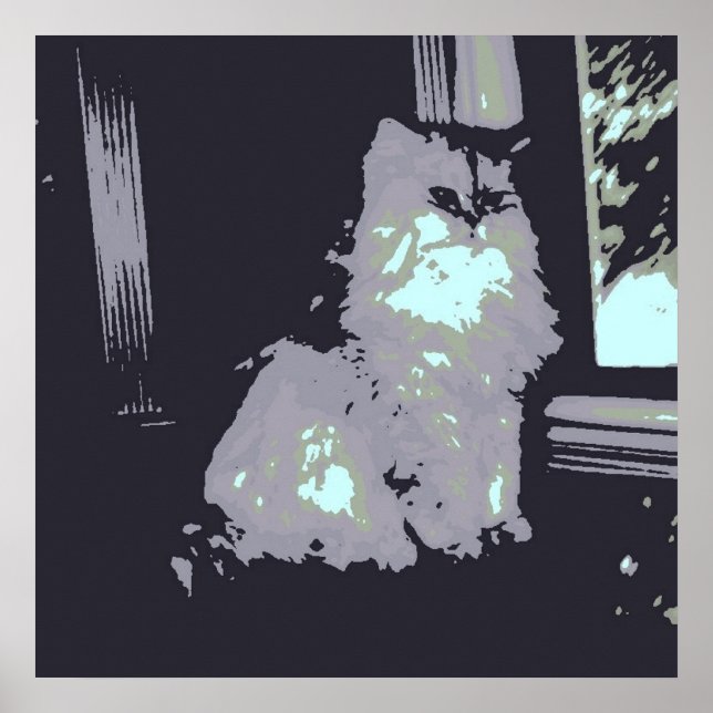 Póster Gato Gray Kitty de pelo largo (Frente)