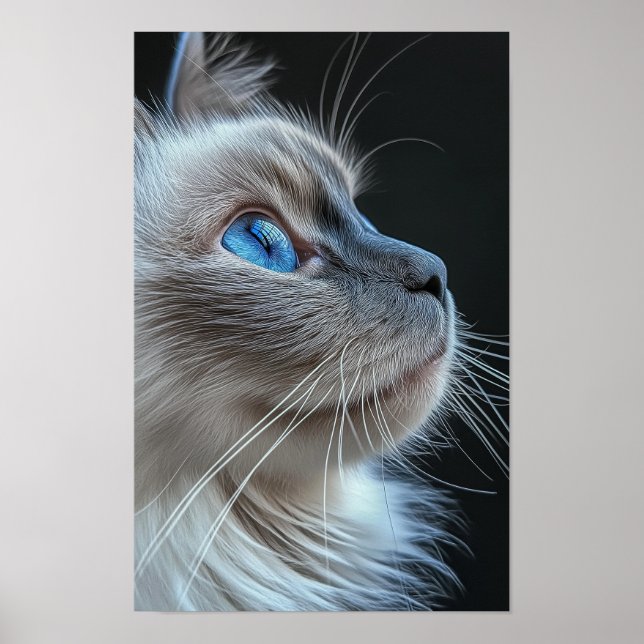 Póster Gato gris con ojos azules (Frente)