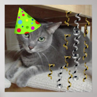 Gato gris de fiesta de cumpleaños