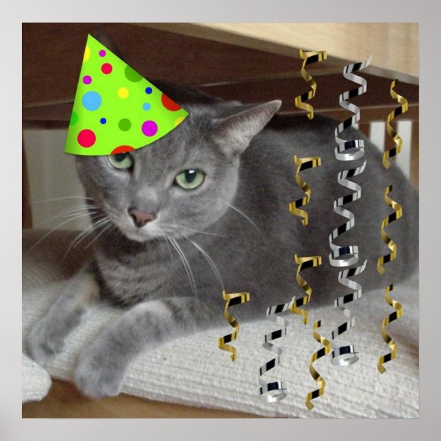 Póster Gato gris de fiesta de cumpleaños (Frente)