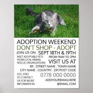 Póster Gato gris sobre hierba, anuncio de evento de adopc