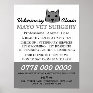 Póster Gato gris, veterinario, anuncio de servicio veteri