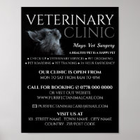 Gato gris, veterinario, anuncio de servicio veteri