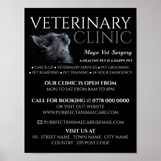 Póster Gato gris, veterinario, anuncio de servicio veteri (Frente)