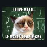 Póster Gato gruñón Poster- Me encantan las matemáticas qu<br><div class="desc">¡Esto se hizo por petición para todos los profesores de matemáticas! Muestra la foto original de Grumpy Cat en un pizarrón con la leyenda "Me encantan las matemáticas... Hace llorar a la gente".</div>