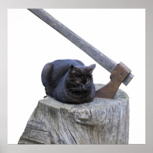 Póster gato, hacha y vida