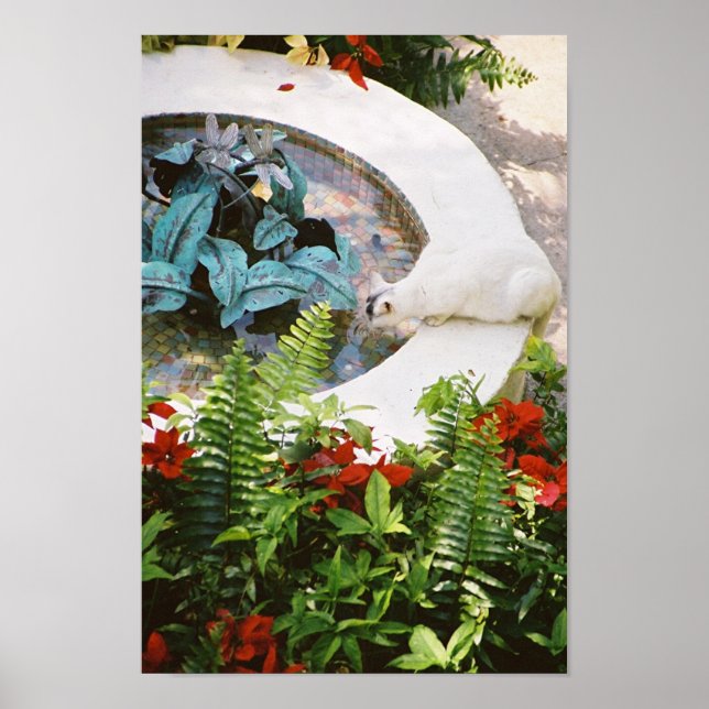 Póster Gato Hemingway 1 Bebida de fuente - Poster e impre (Frente)