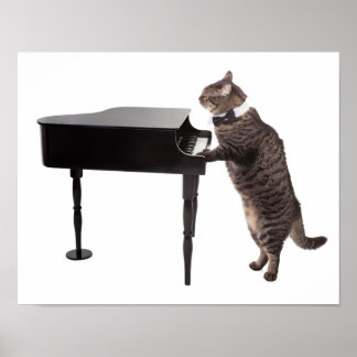 Póster Gato jugando al piano