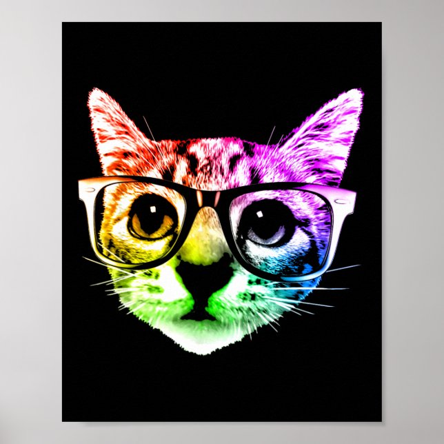 Póster Gato Kitty Arcoiris Con Gles (Frente)