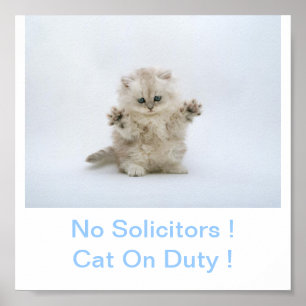 Póster Gato Kitty No Solicitors Rótulo