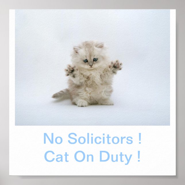 Póster Gato Kitty No Solicitors Rótulo (Frente)