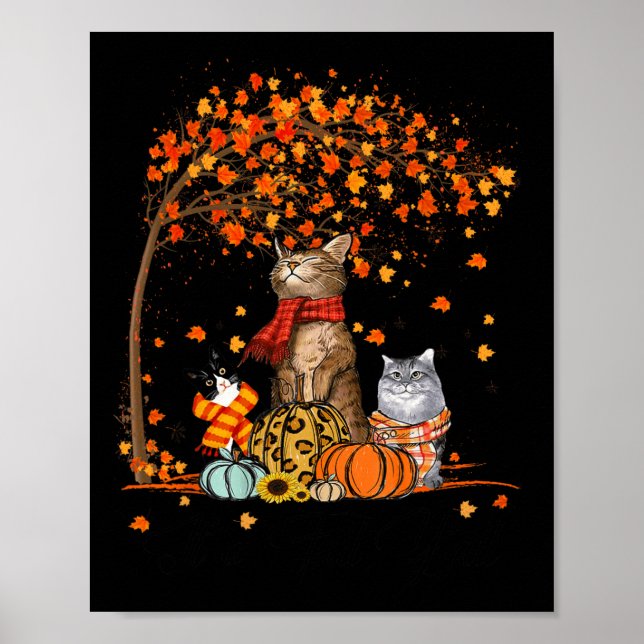 Póster Gato: las calabazas de otoño en el gato de Hallowe (Frente)