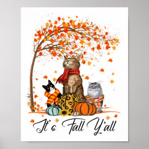 Póster Gato: las calabazas de otoño en el gato de Hallowe
